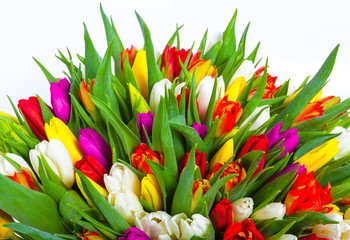 bouquet of multicolor tulips. fresh spring flowers