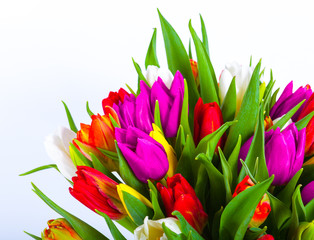bouquet of multicolor tulips. fresh spring flowers