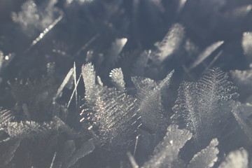snowflakes