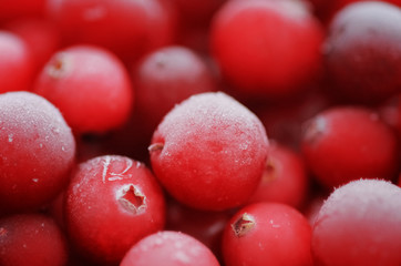 fresh juicy ripe cranberries