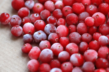 fresh juicy ripe cranberries