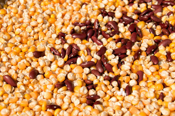 food and vegetable - Close up Corn Bean and Kidney bean nature abstract background