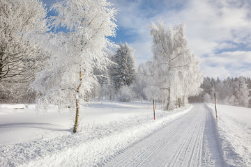 Winter Landschaft