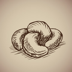 Cashew in sketch style. Illustration. Drawn by hand. Vintage nuts.