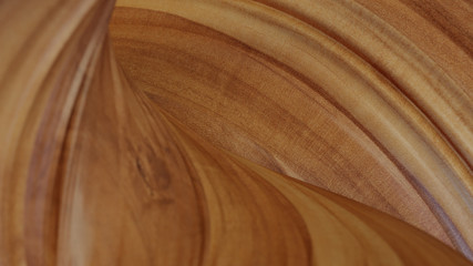 Wood texture background, wood abstract