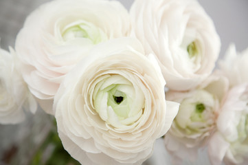 Close up of buttercups flower bouquet
