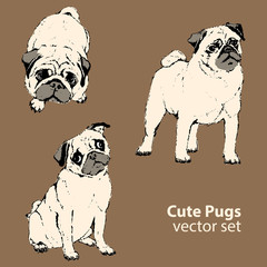 Cute pugs vector set - 137767861