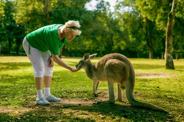 Papier Peint photo autocollant Kangourou Femme d& 39 âge moyen nourrir un kangourou au zoo