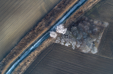 Top view of frozen stream and trees in field
