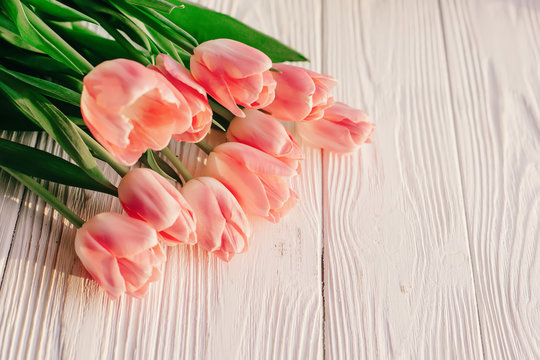 beautiful pink tulips on white rustic wooden background. tender view of spring flowers in soft morning sunny light with space for text. blogging advertising concept