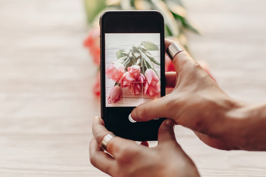 instagram photographer blogging workshop concept. hand holding phone and taking photo of stylish flowers. pink tulips on white wooden rustic background.space for text. hello spring