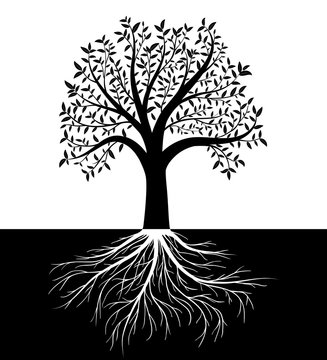 Tree silhouette with leaves and roots vector background