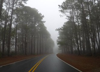 Fototapeta premium Winding Road In Fog