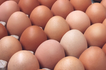 fresh chicken brown eggs in packing, toning