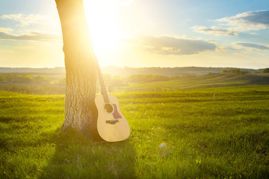 classical guitar propped against a tree trunk