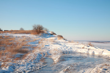 Зимний пейзаж. Одинокое дерево