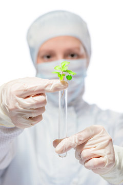 portrait of biologist with test tube and germ plants