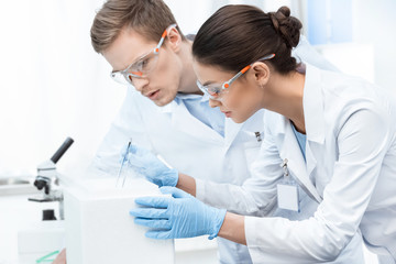 Young professional chemists in protective glasses and gloves making experiment in lab