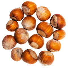 The heap of hazelnuts