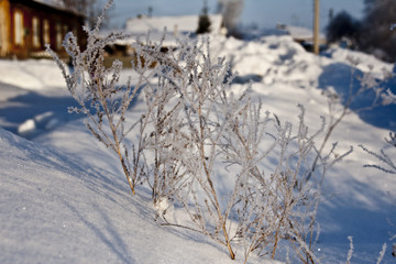 Winter landscape, snow texture