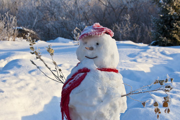 Winter landscape, snow texture