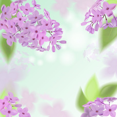 Vector web banners with purple, pink, blue and white lilac flowers.