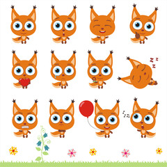 Big set cute little squirrel. Collection isolated cartoon squirrel in different poses.