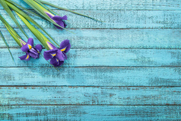 irises flowers on table © LIGHTFIELD STUDIOS
