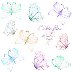 Set, collection of watercolor tender butterflies, hand drawn isolated on a white background