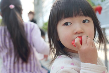 いちごを食べる女の子