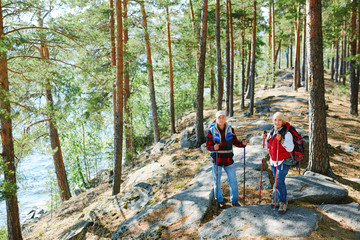 Active travelers with trekking sticks hiking in the forest
