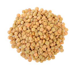 lentils isolated on white background