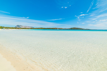 Clear water in Cala Brandinchi
