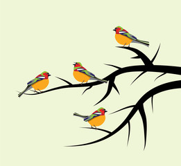 vector birds on tree branches