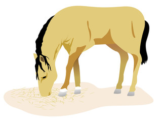 Animal illustration a horse, equine. Ideal for catalogs and livestock materials