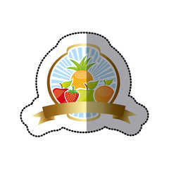 emblem fruits icon stock, vector illustration design