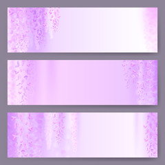 Spring background with blooming wisteria