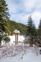 winter mountain landscape. The road that leads to the spruce covered with snow in daylight