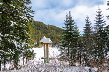 winter mountain landscape. The road that leads to the spruce covered with snow in daylight
