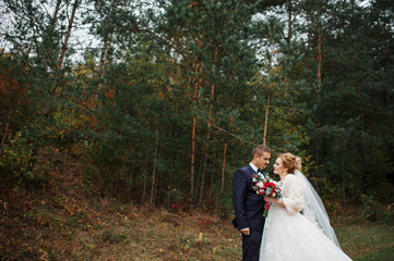 Wedding couple in love at autumn pine wood.