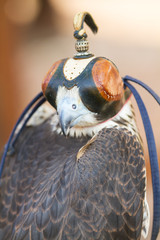 ancient crafts historic medieval festival