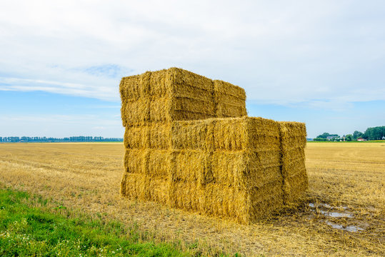 Stacked straw bales in front of a large stubble field