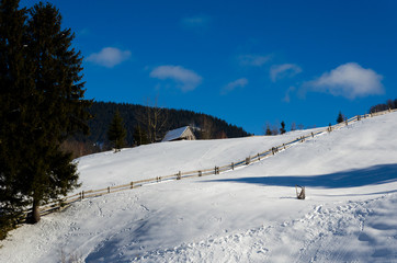 House on a hillside covered with snow and green trees on the sides, with hhory Blue Christmas forest in the background Winter landscape.