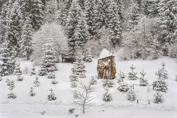 Haystack under snow in the Carpathian Mountains, Ukraine