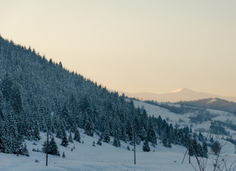 winter mountain landscape. snow field with trees covered with snow in the background, wooden bridge between the mountain slopes.