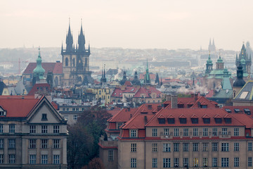 Obraz premium Panorama of the city of Prague and Prague Castle and roofs.