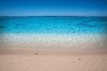 Fototapeta na wymiar Empty sandy beach with clear turquoise water - Mauritius