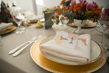 Bride's and Groom's Seats at Wedding Reception