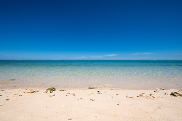 Fototapeta na wymiar Empty sandy beach with clear turquoise water - Mauritius