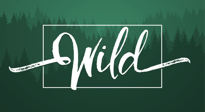 Vector illustration: Handwritten  brush lettering of Wild on green forest background.

